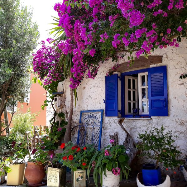 Лето 2024 Крф-Вила Савас