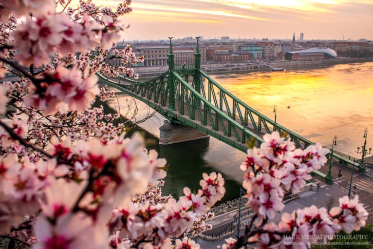 БУДИМПЕШТА – ВИЕНА – СЕНТ АНДРЕА