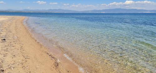 022604IMG-fcc9c21e281e9f2f70da4de7b2b90e5b-V-1 (1)