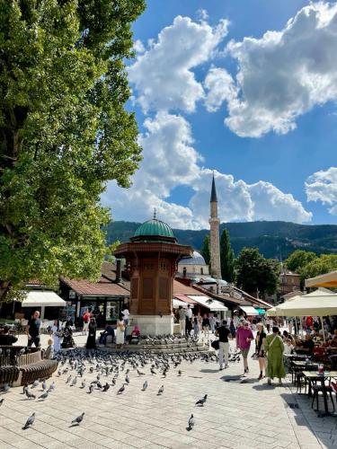 0b58b5734a8d6df005ea139c5c08a1b5