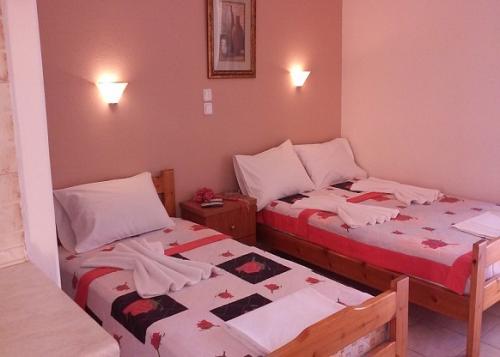 101539Димитра-3ро-2