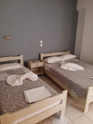 101539Димитра-реновирана