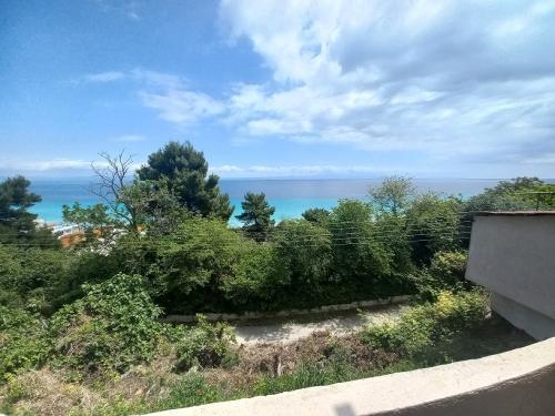 10155420230513 115638