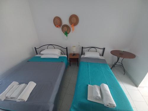 10155420230513 115931