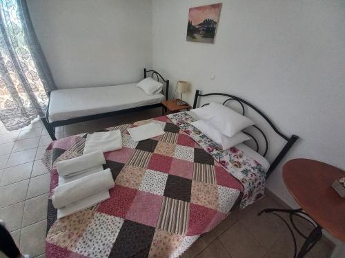 10155420230513 120128