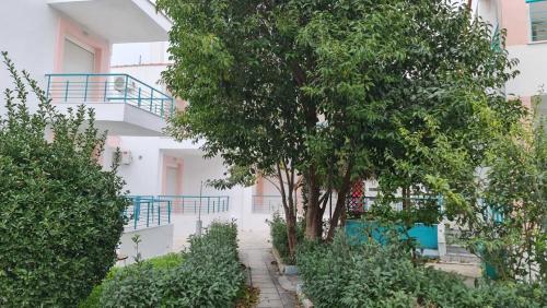 101707viber image 2023-03-09 14-45-58-873