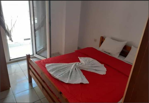 101811Snap-2023-03-14-at-14.06.34