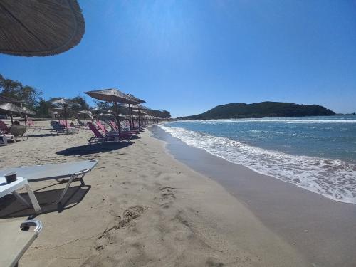 10280620220918 133351 (1)