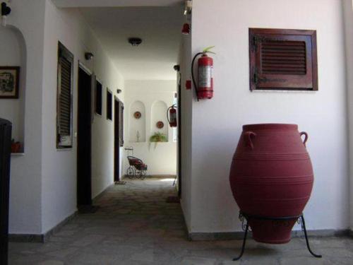105748elsa-apartments-pefkochori-pic-16