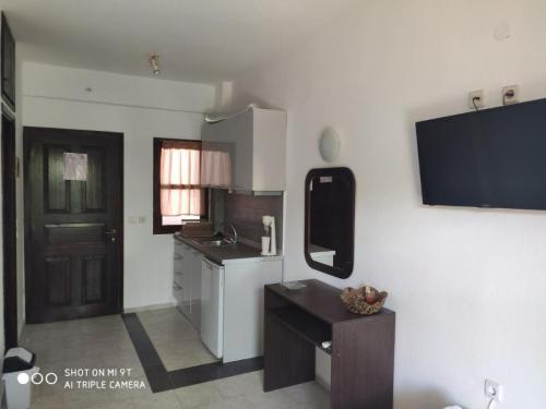 105749elsa-apartments-pefkochori-pic-9
