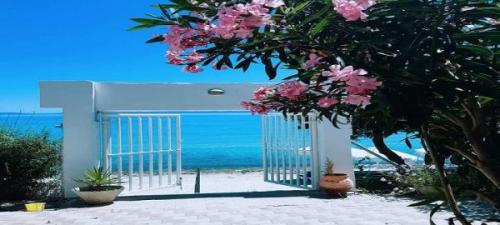 106987819 2347634535537950 2813468228553167092 n-600x270