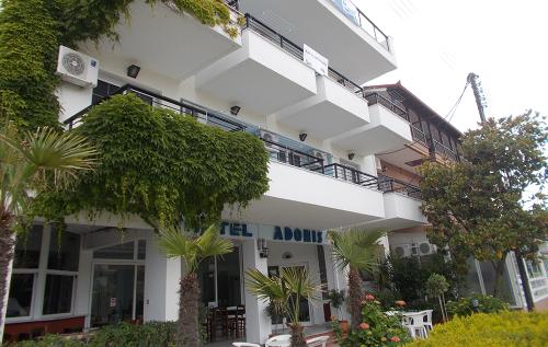 111846адонис-8