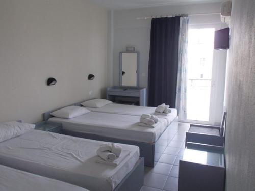 111847Адонис-2