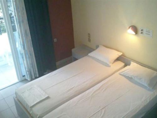 111847адонис-3