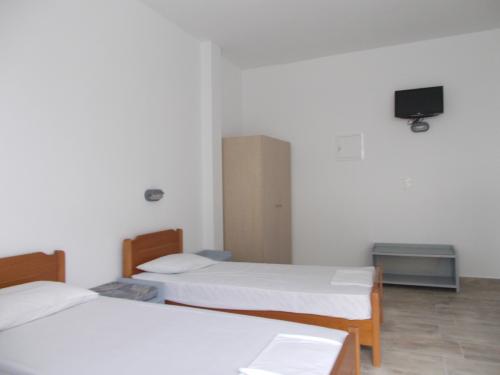 111847адонис-6 (1)