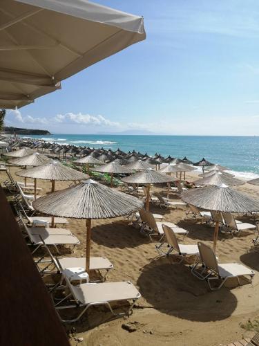 125450IMG-53fb9b47918889ef6e53e913d7281fe3-V