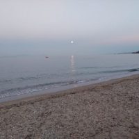 141784993 3525267757550239 3892114282849597316 n-200x200