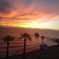 142116078 1582132058638571 2357292730124230952 n-200x200