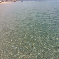 20160813 140915-200x200