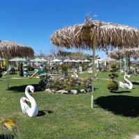 20180402 135534-200x200