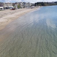 20180421 113810-200x200