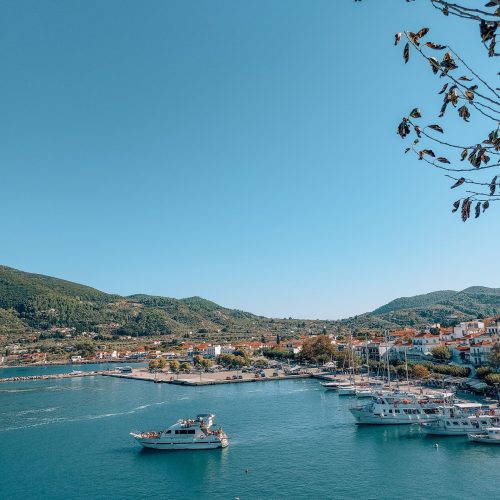 20210925 162142-scaled-1-qwd9r0k6pjbfivu66osi4fkl417cdkhppcsoo732x4