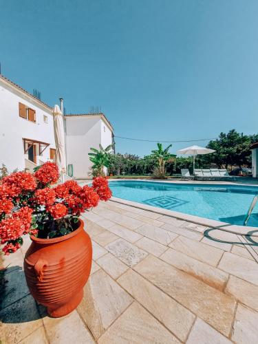 20210927 112029-scaled-2