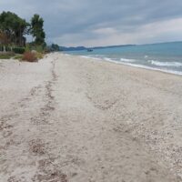 20221012 143423-200x200