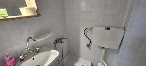 20240829 103220-600x270