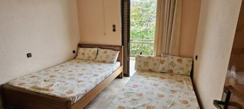 20241113 145235-600x270