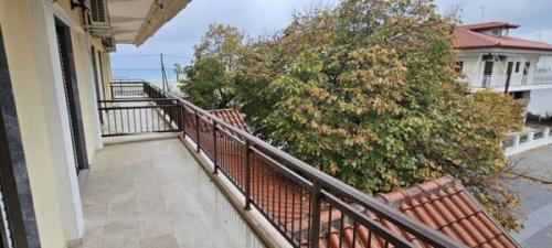 20241113 145413-600x270