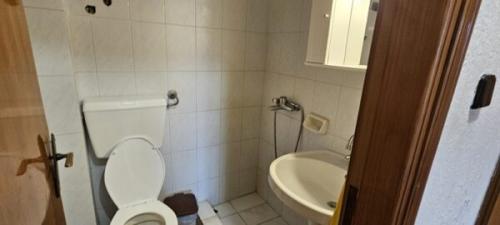 20241113 151305-600x270