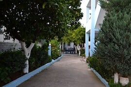 217125246 461881345001062 8371930143135578263 n-2