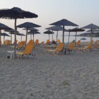 243363582 940017803248511 210372396289411828 n-200x200