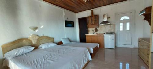 260816193 1301383643632702 5046841520306207024 n-768x346 (1) (1)