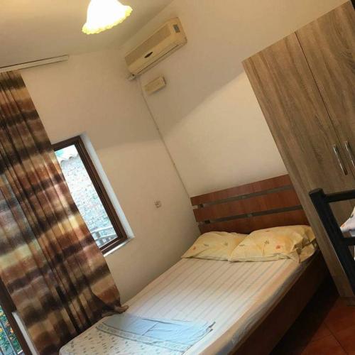 275057420 1619959748357347 5772056175419049405 n