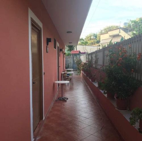 275097960 490114915912433 2546086277065711473 n