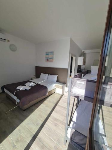 434543192 2149780345391355 6424855326350269612 n