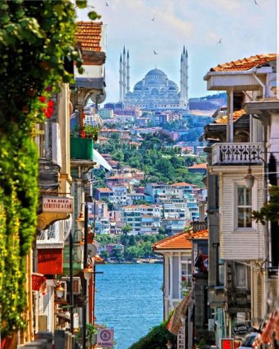 479999846 961069632791310 532530597307714814 n