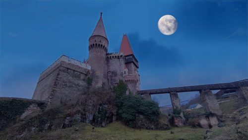 480737152 617169077595289 5554077112563171064 n