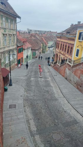 480756122 617169087595288 4240096704507713592 n