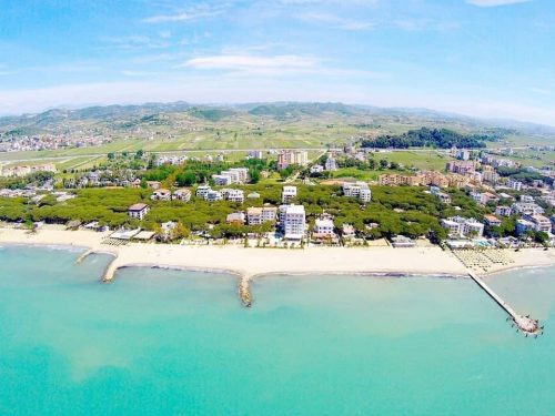 481223995 972311465000460 4828633739516321483 n