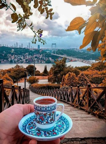 57367374f29a9bb5f3cac14348570a25 (1)