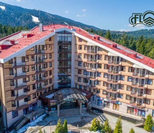 FLORA-e1730473269846