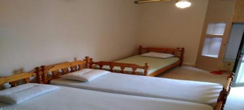 Kostas-STD-8-2-600x270