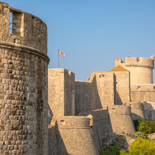 Profilna-slika-1-600x600-1