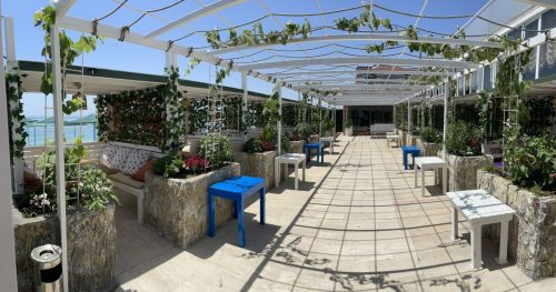 WhatsApp-Image-2022-11-18-at-13.33.37