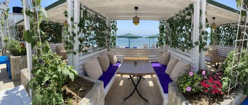 WhatsApp-Image-2022-11-18-at-13.33.41-1 (1)