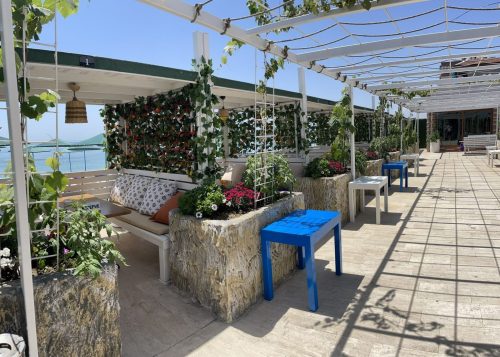 WhatsApp-Image-2022-11-18-at-13.33.41 (1)