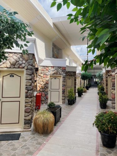 WhatsApp-Image-2022-11-18-at-13.33.49 (1)